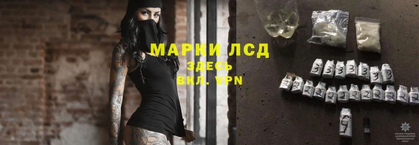 PSILOCYBIN Бронницы