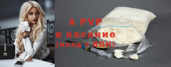дживик Богородицк