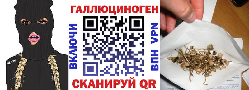 Купить закладки  Вилюйск  Галлюциногенные грибы Psilocybe 
